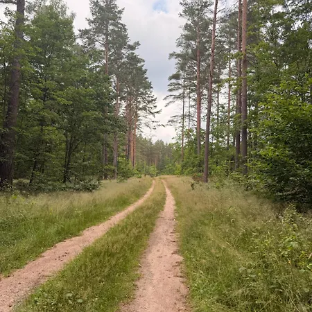 Lesna Sonata Marksewo