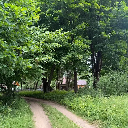 Vakantiehuis Lesna Sonata